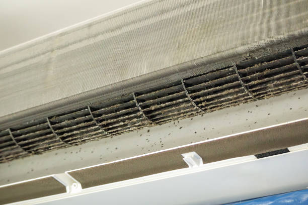 Best Professional Duct Cleaning Services  in Pegram, TN